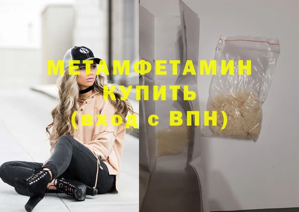 прущие грибы Куйбышев