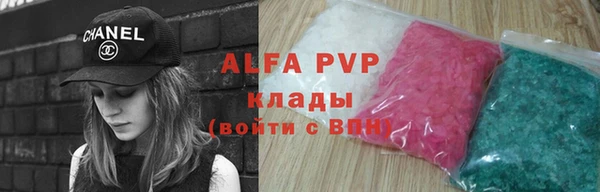 прущие грибы Куйбышев