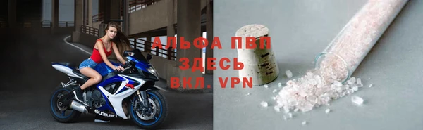 прущие грибы Куйбышев