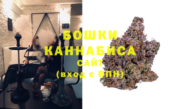 прущие грибы Куйбышев