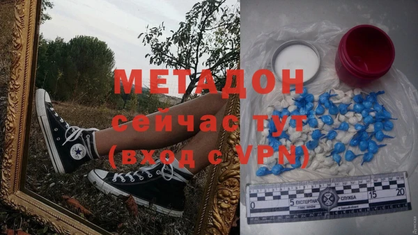 прущие грибы Куйбышев