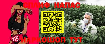 стаф Камышлов