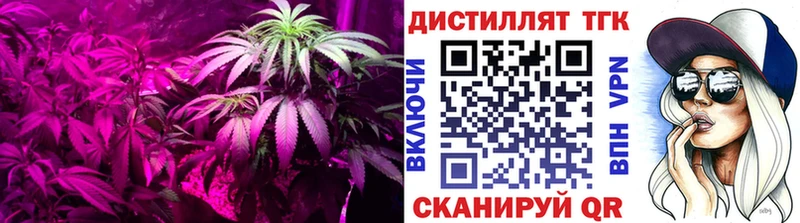 где можно купить наркотик  OMG как зайти  ТГК вейп с тгк  Михайловка 