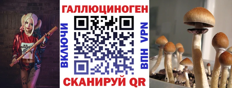 наркотики  Михайловка  Галлюциногенные грибы Magic Shrooms 