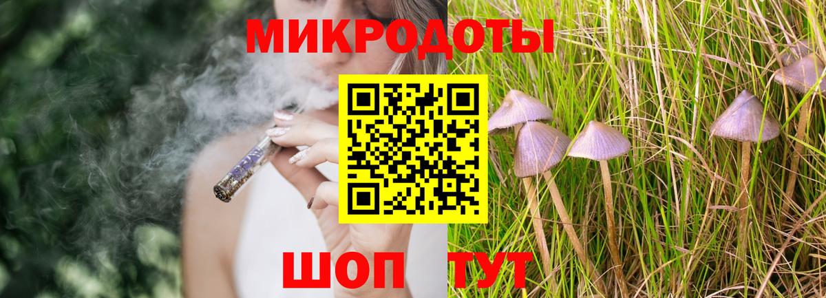 Псилоцибиновые грибы Cubensis Михайловка